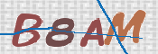 Εικόνα CAPTCHA