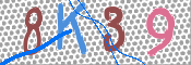 Εικόνα CAPTCHA